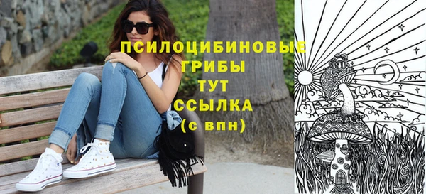 эйфоретик Бронницы
