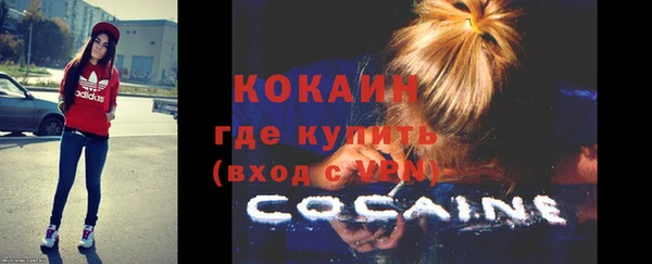 прущий лед Бородино