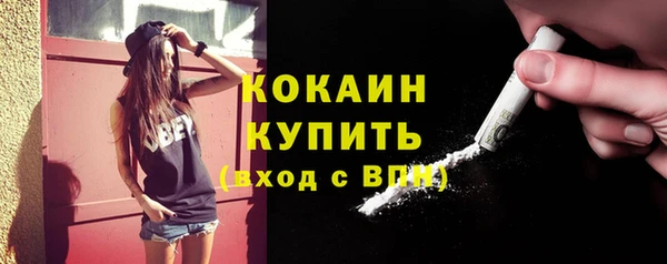 прущий лед Бородино