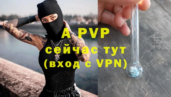 прущий лед Бородино