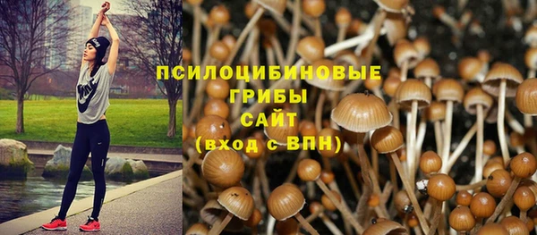 прущий лед Бородино