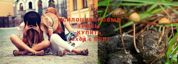 эйфоретик Бронницы