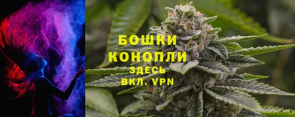 прущий лед Бородино