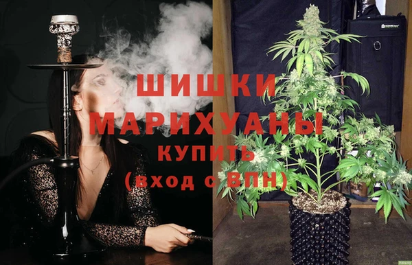 прущий лед Бородино