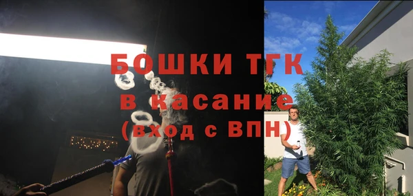 прущий лед Бородино
