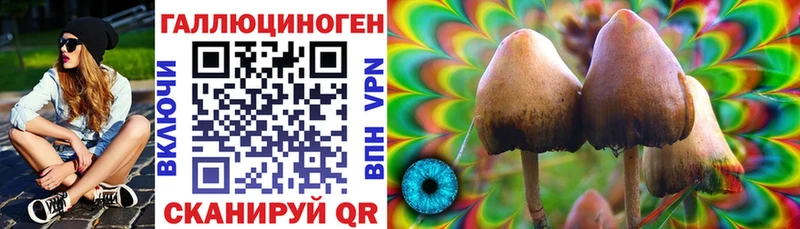 Галлюциногенные грибы Psilocybine cubensis  как найти закладки  Новотроицк 