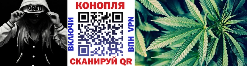 Бошки марихуана индика  Новотроицк 